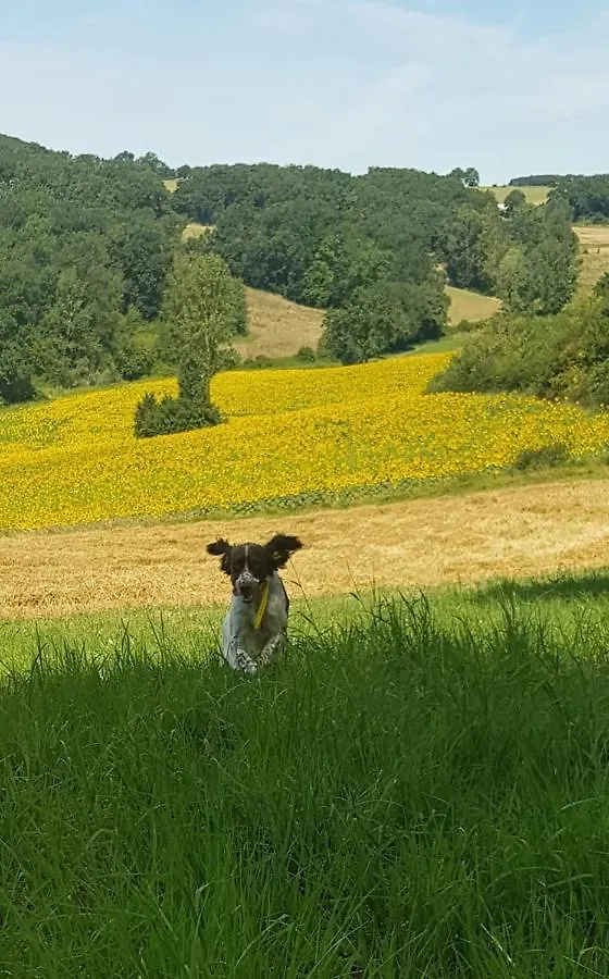 Ferme En Pleine Campagne Villa Castelsagrat