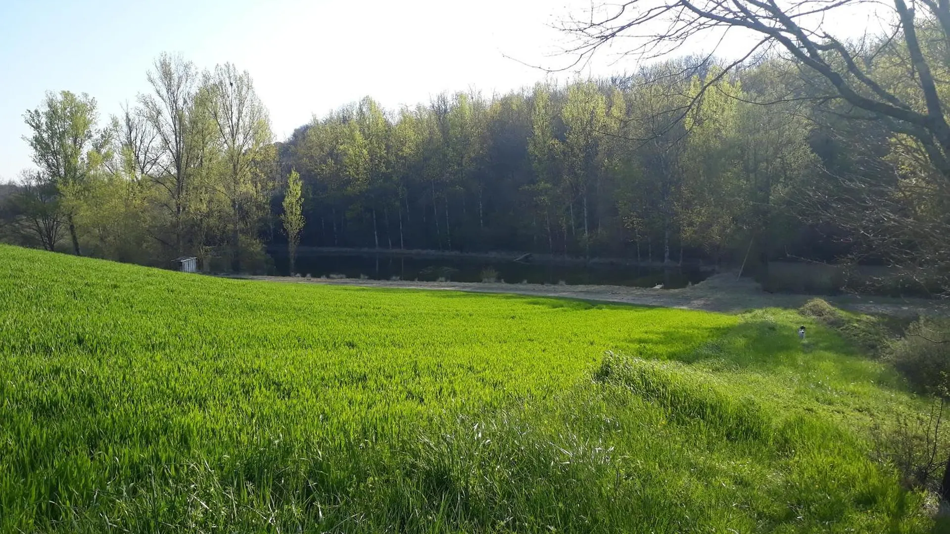 Ferme En Pleine Campagne Villa Castelsagrat 0*,  France
