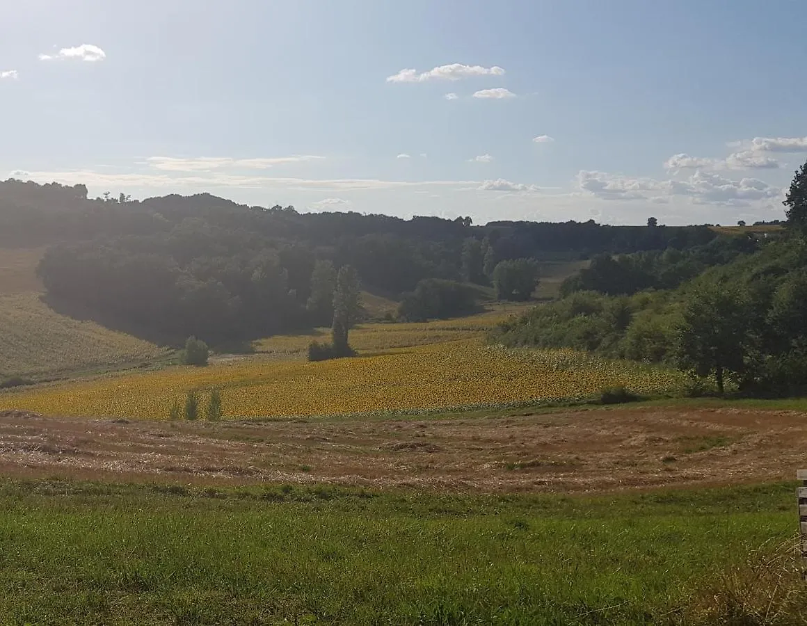 Ferme En Pleine Campagne Villa Castelsagrat
