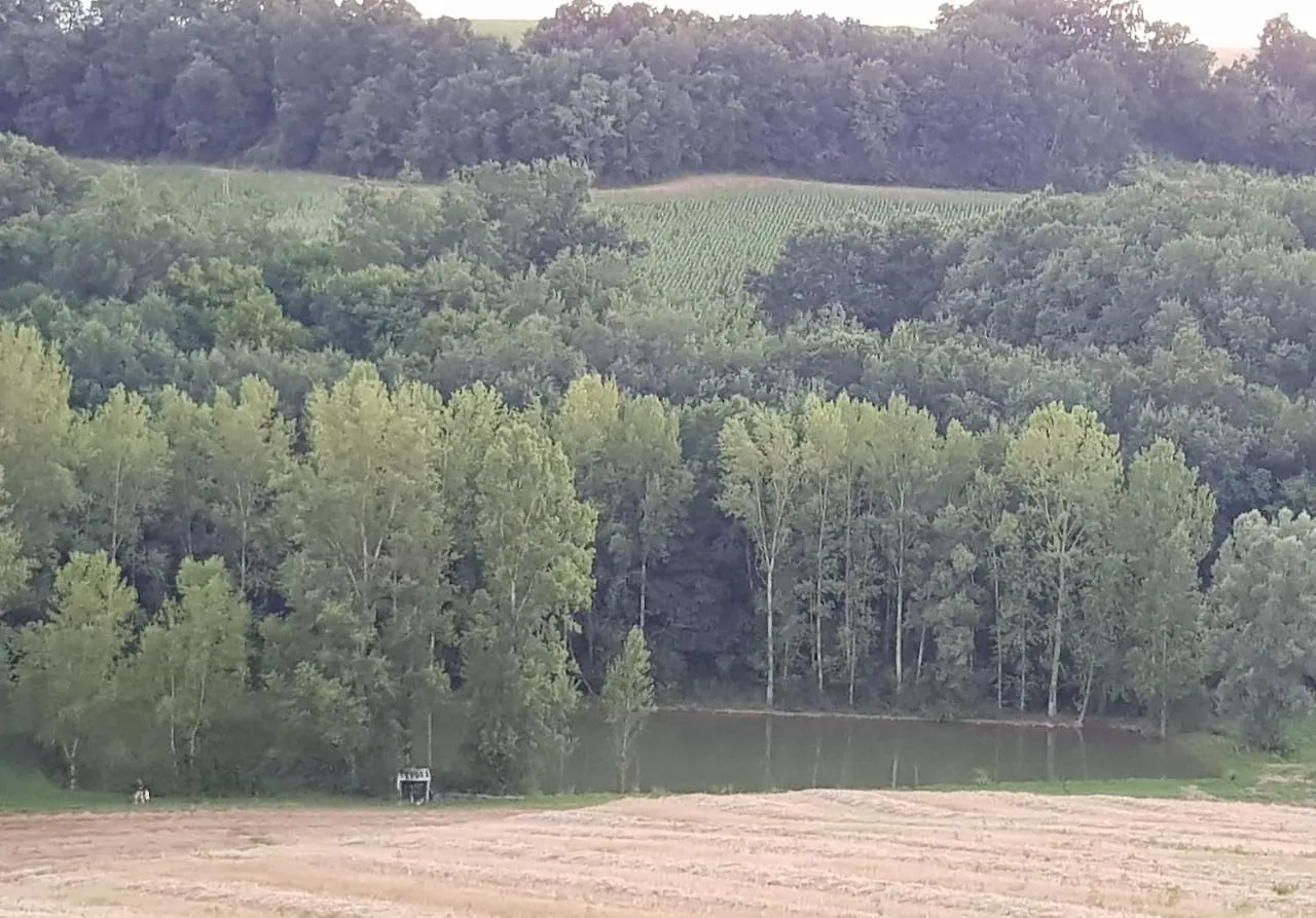 Holiday home Ferme En Pleine Campagne Villa Castelsagrat France